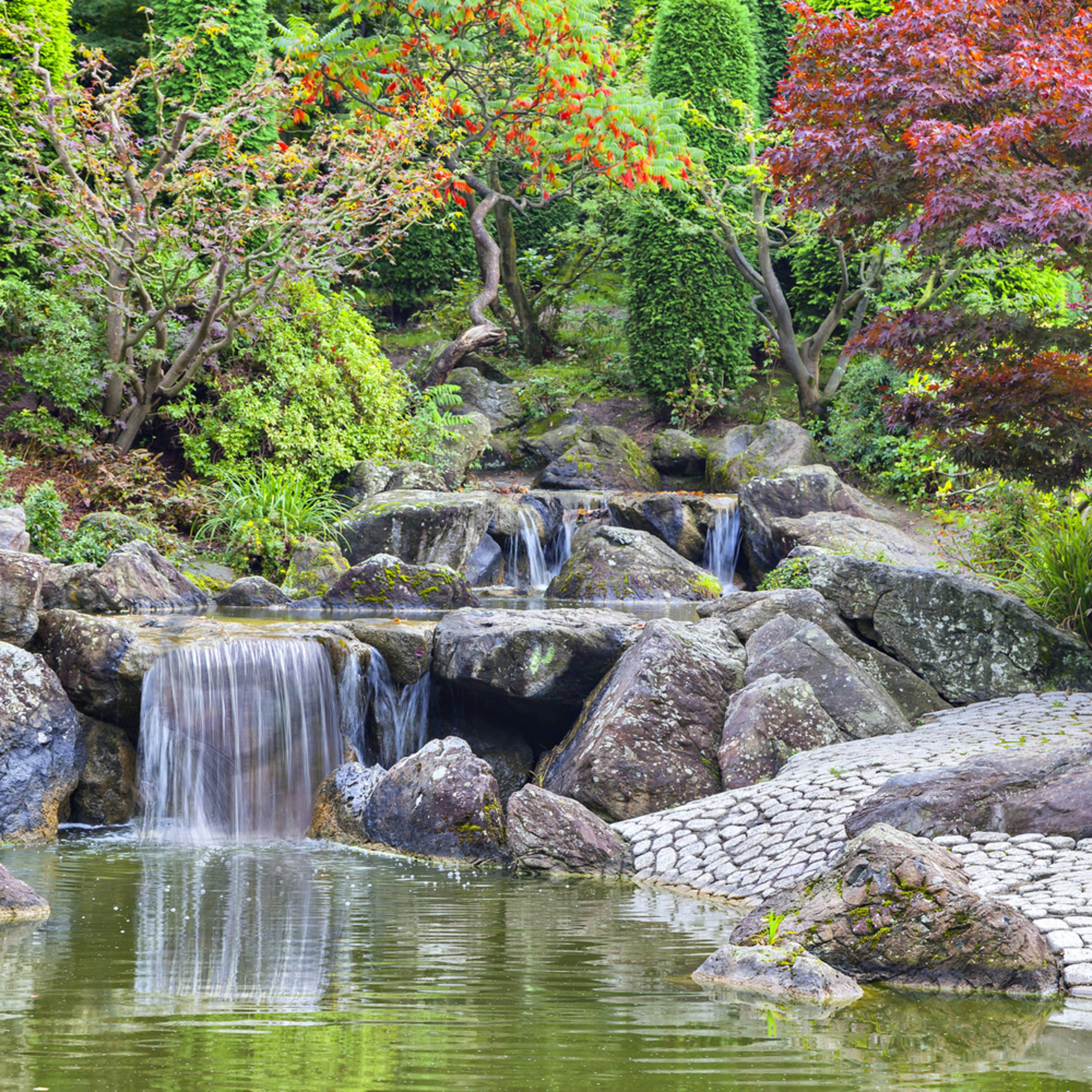 Backyard Water Features