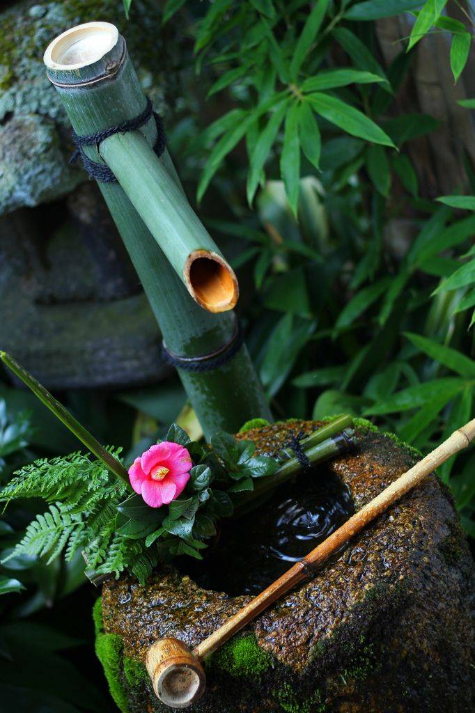 Best Bamboo Water Fountains Images