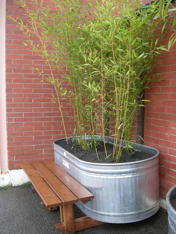 Bamboo Balcony Privacy Screen Design Ideas