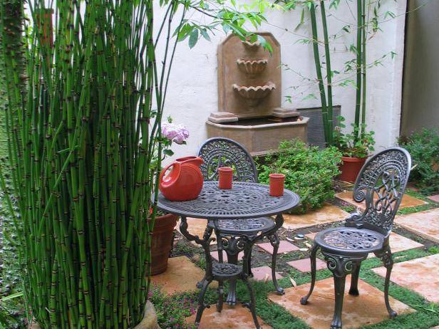 Bamboo Garden