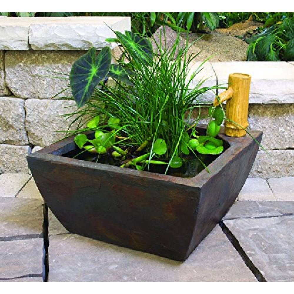 Your Home Garden