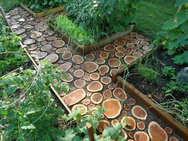 Log Path