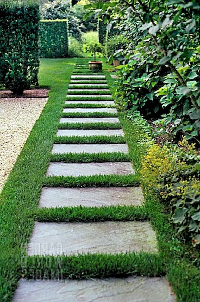 A Beautiful Walkway Gardening
