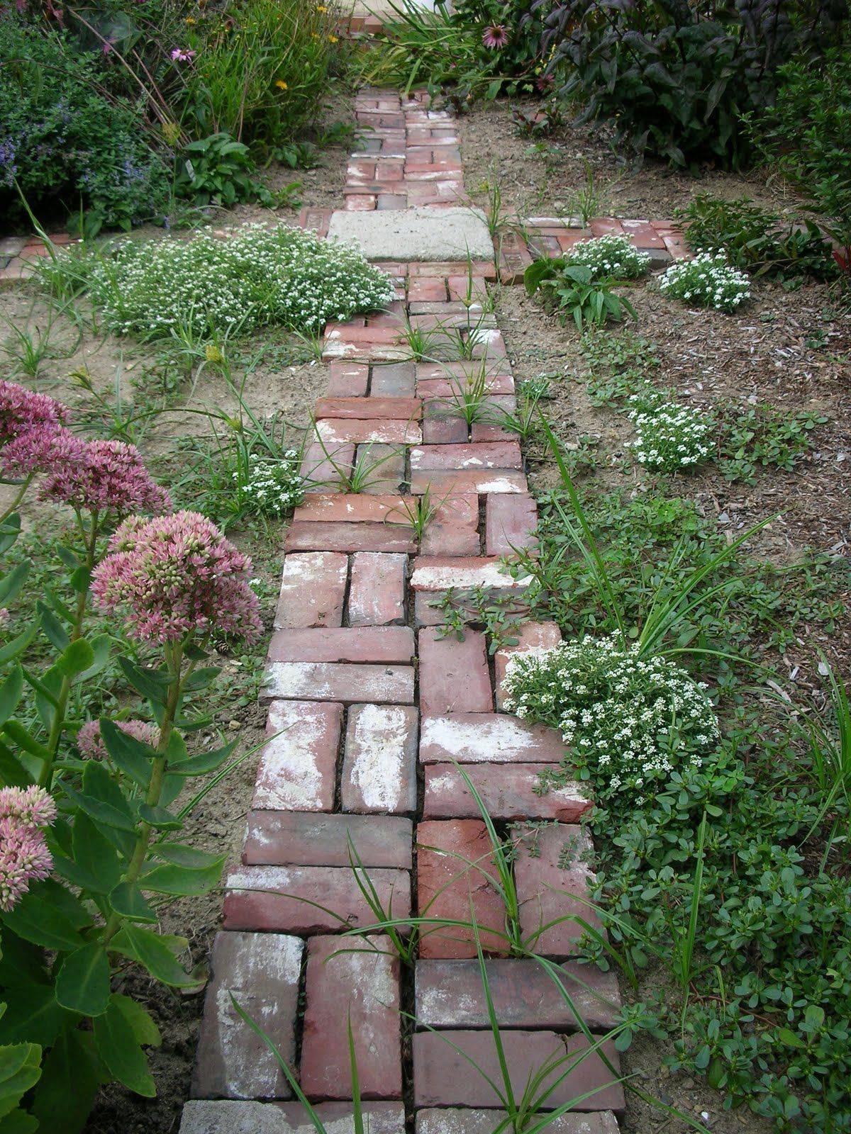 Lawn Edging Ideas