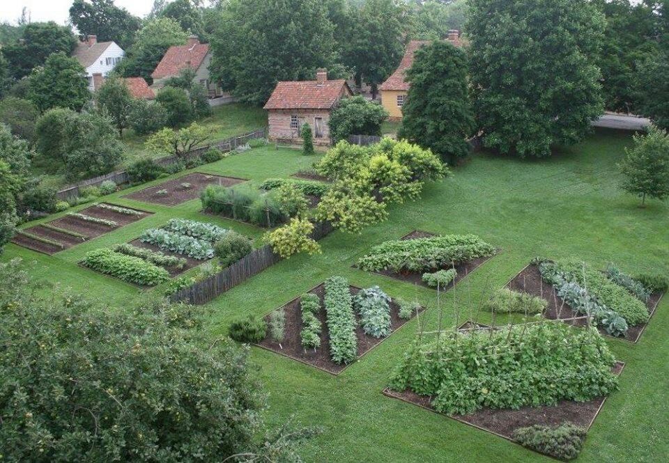 Medicinal Herb Garden Design Photograph