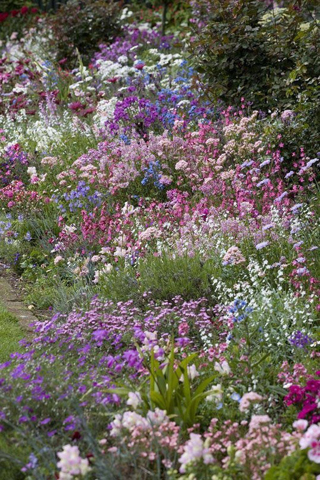 Gorgeous Garden Border Design Ideas
