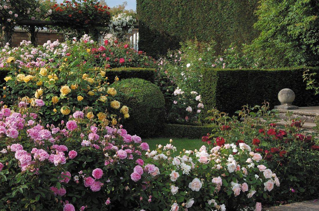 Beautiful Modern English Country Garden Design Ideas