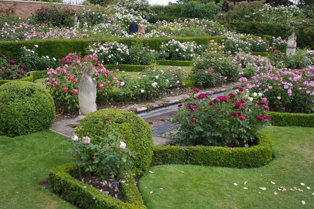 Cottage Garden