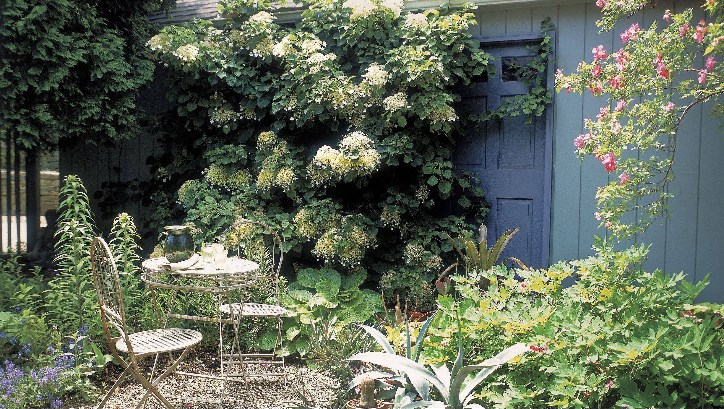 Cottage Garden