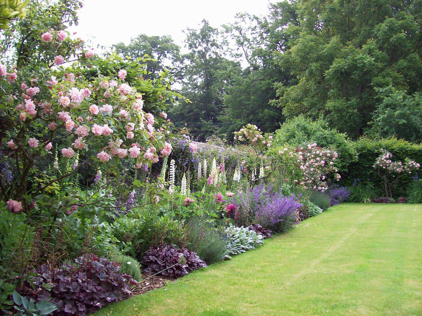 English Rose Garden