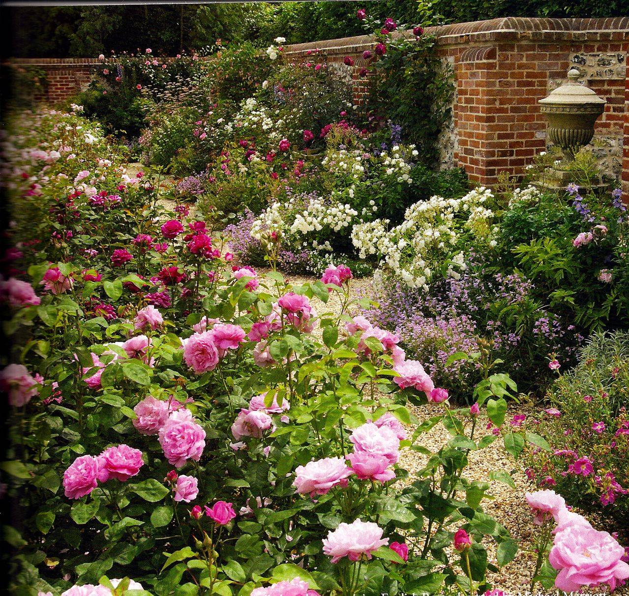 Peony Romantic Cottage Garden Gardening Ideas