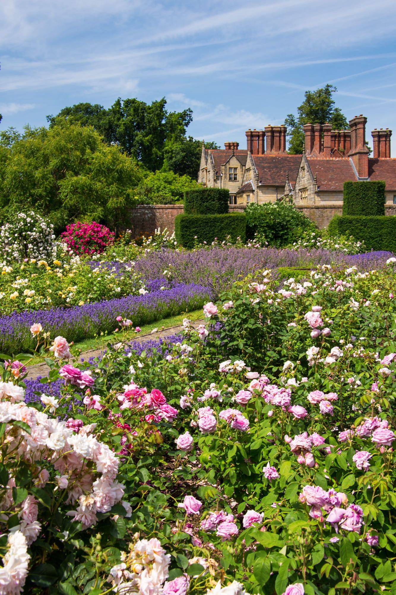 Whiteroseplantinenglishcountrygarden Cottage Garden Design