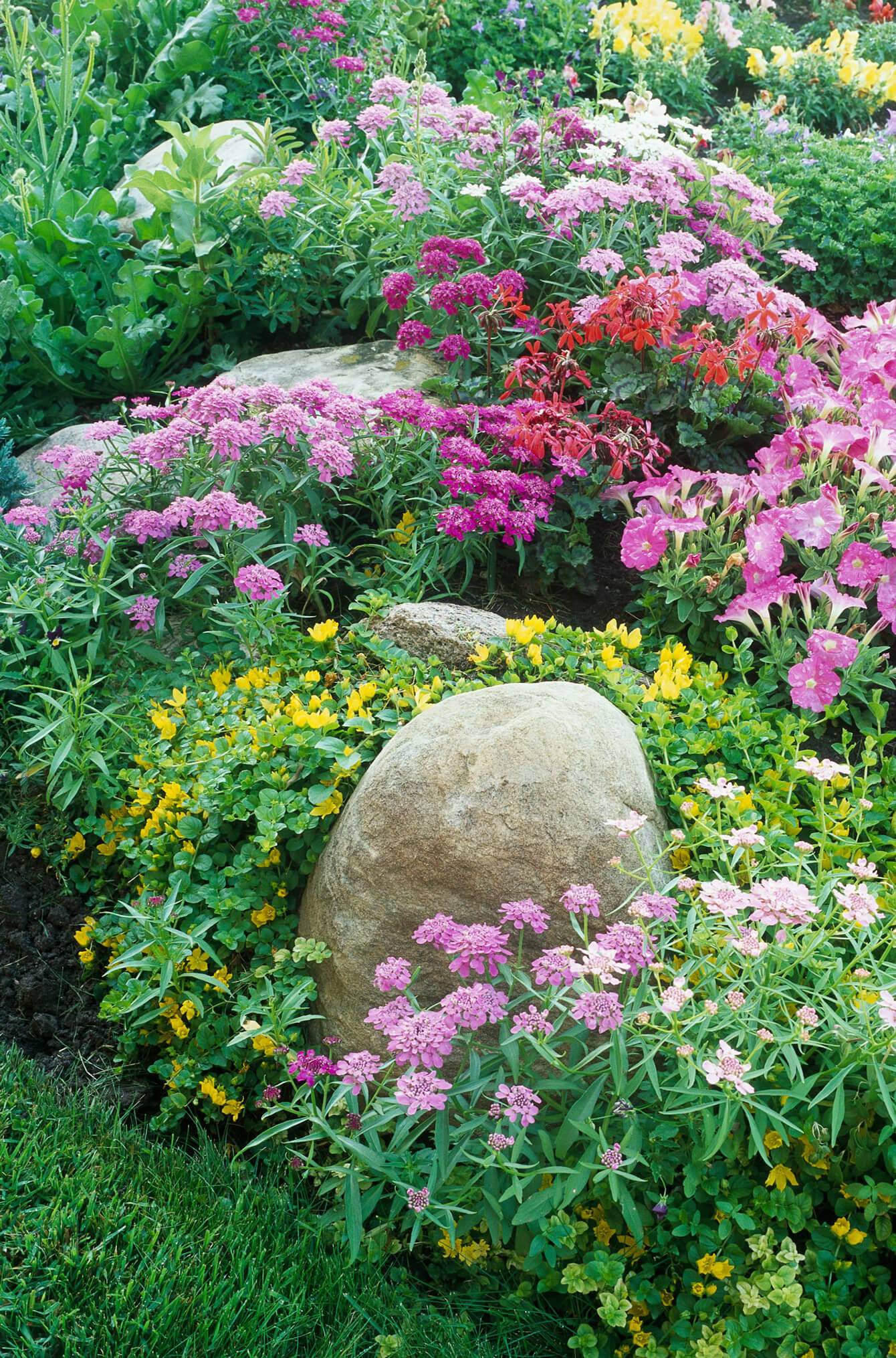 Beautiful Modern English Country Garden Design Ideas Rose Garden