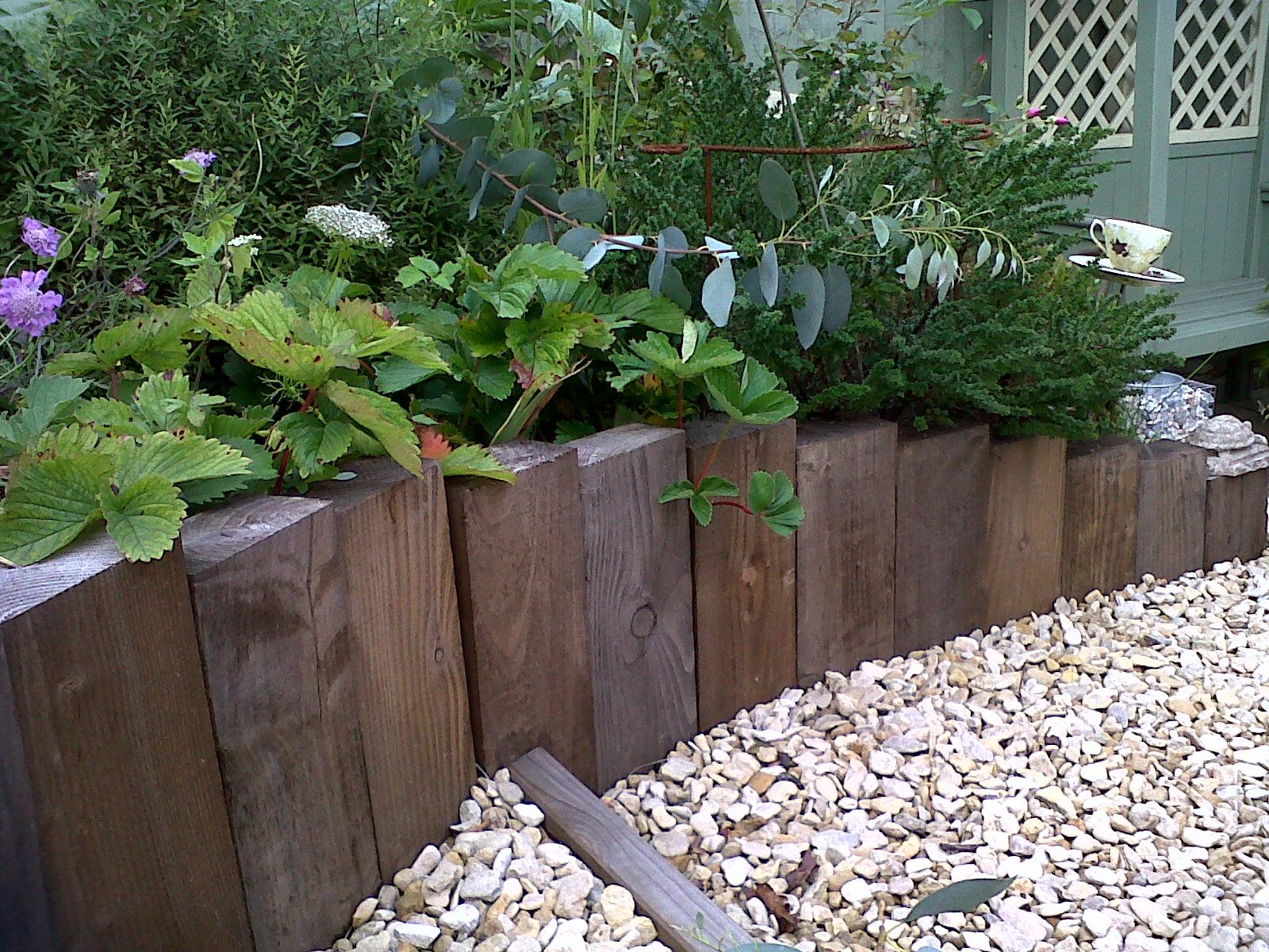 Creative Cheap Garden Edging Ideas