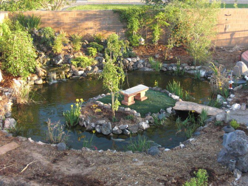 Fish Pond Gardens