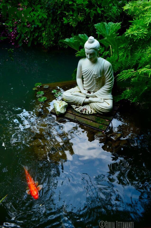 Zen Garden Ideas Small Zen Garden Ideas Modern Design