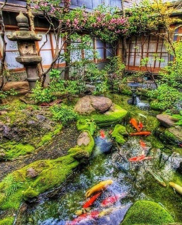 Lovely Backyard Ponds Ideas
