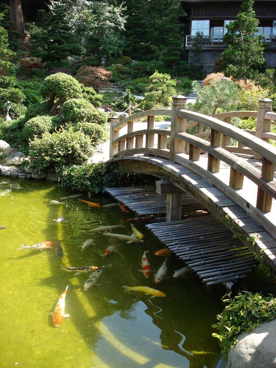Beautiful Backyard Ponds And Waterfalls Garden Ideas Crowdecor