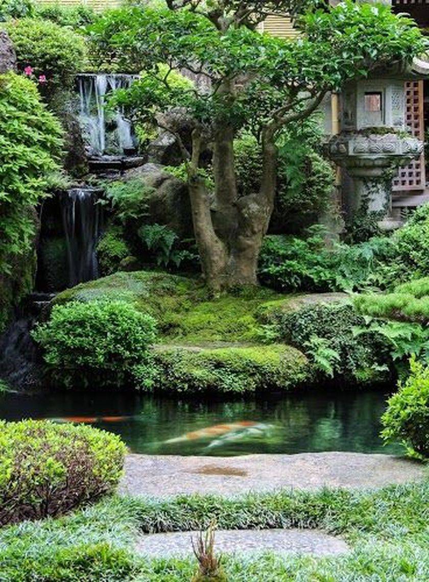 Japanese Gardens Pond Stars Uk