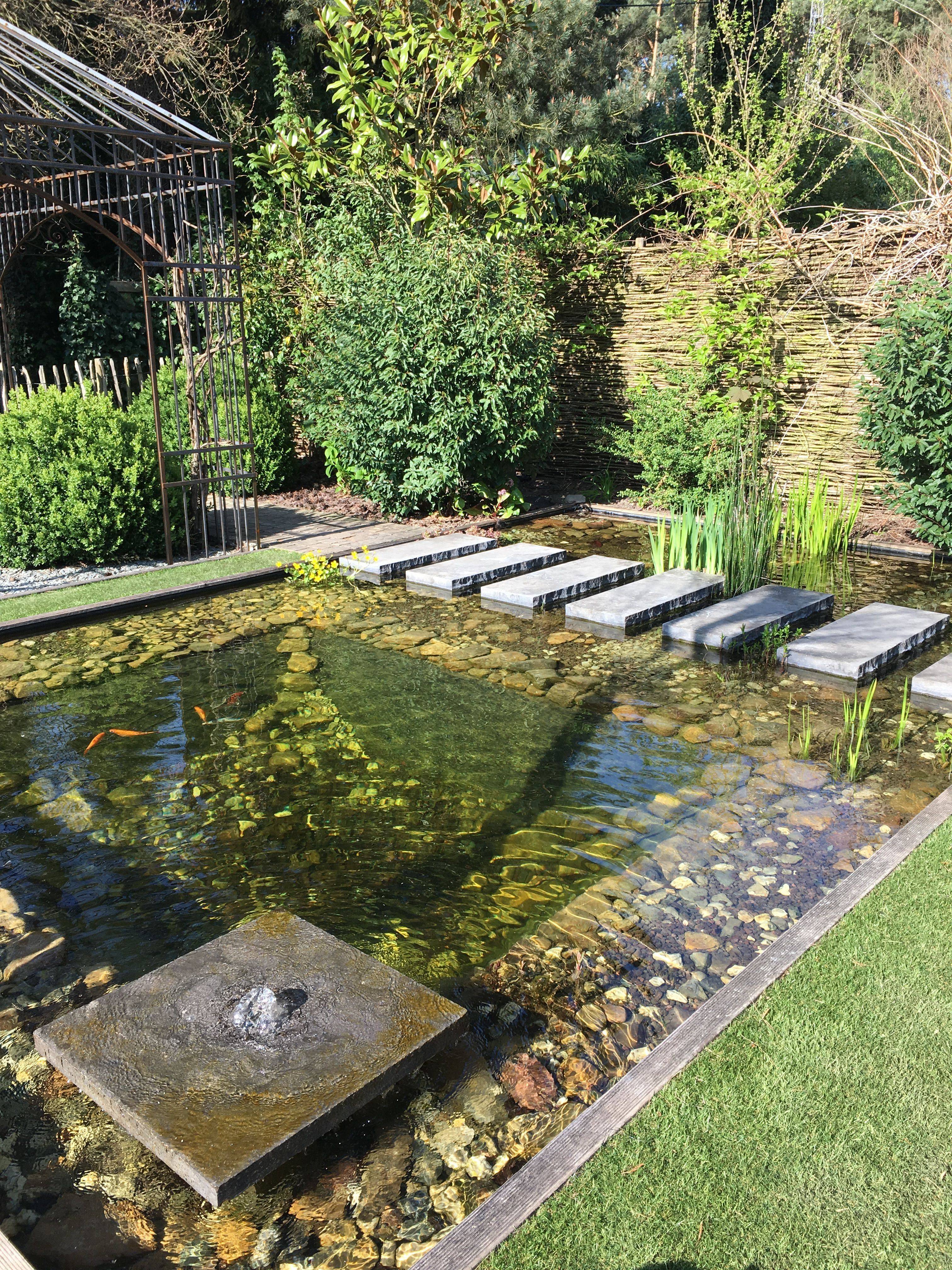 Koi Pond Designs