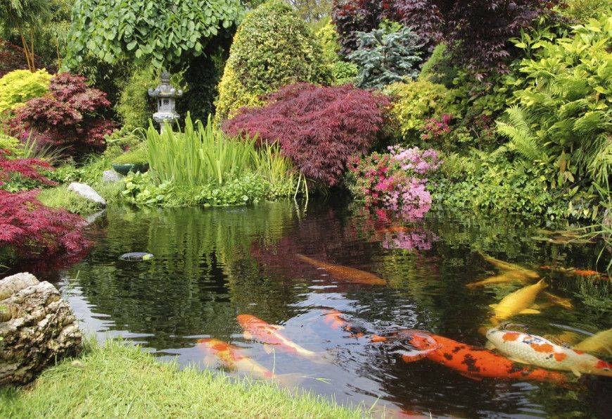 Large Koi Pond Lantern Bamboo Maples Bonsai Stock