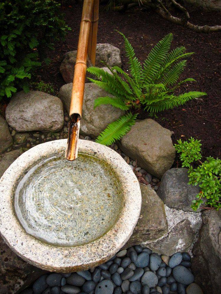A Japanese Zen Garden