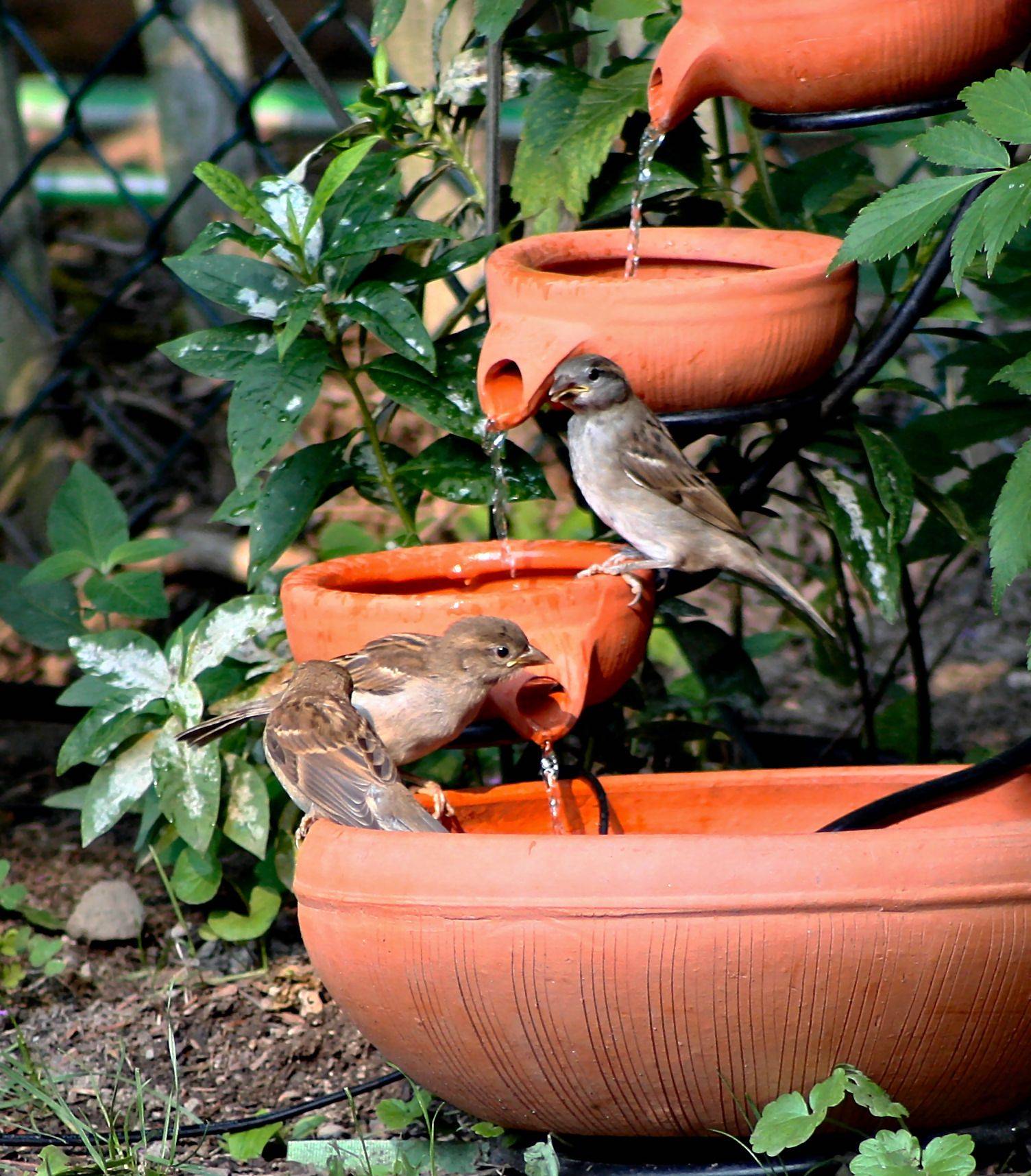 Lovely Diy Bird Bath Ideas