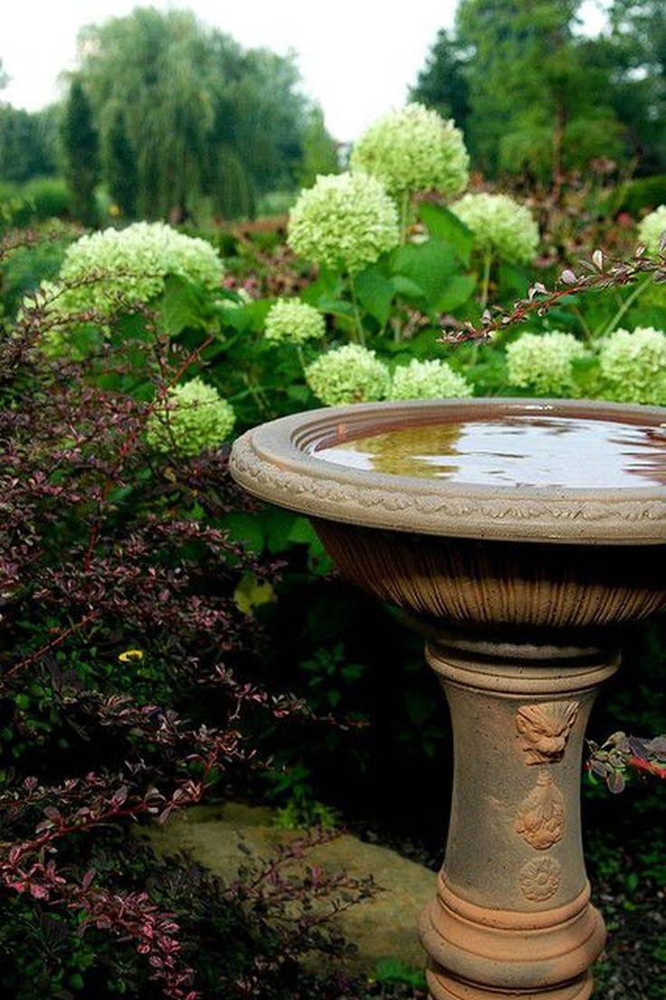 Splashy Bird Baths