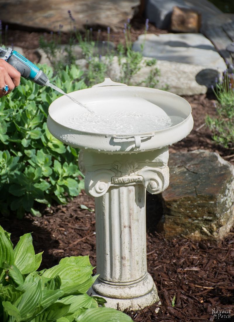 Bird Bath Ideas