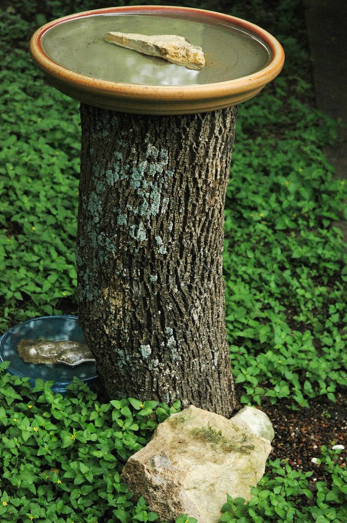 Diy Bird Bath Ideas