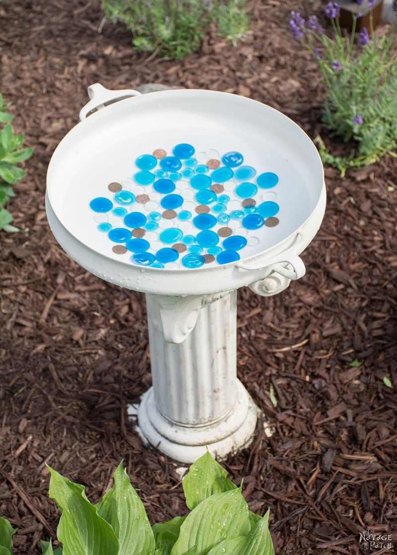 Bird Bath Fountain