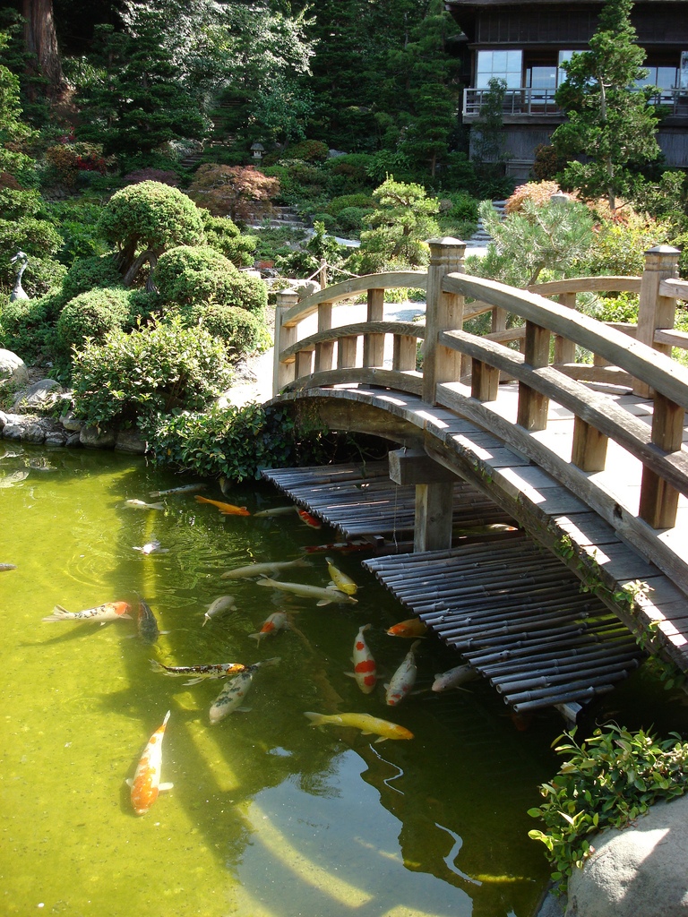 Wooden Garden Bridge