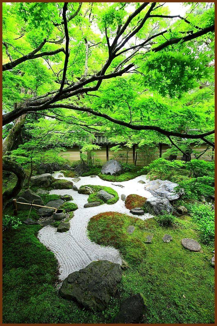 Tranquil Japanese Garden Backyard Designs