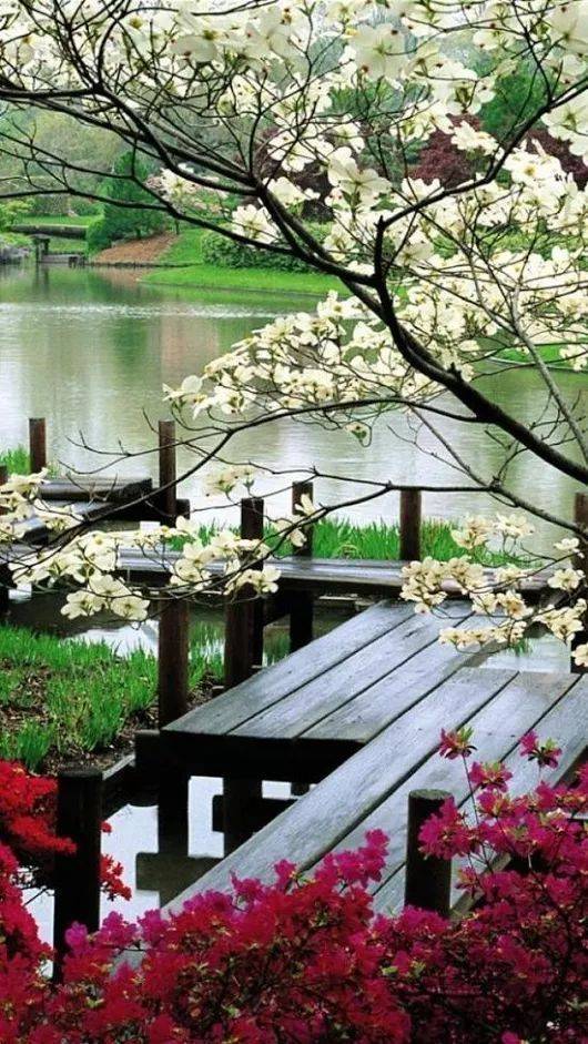 Amazing Japanese Garden Gazebo Ideas