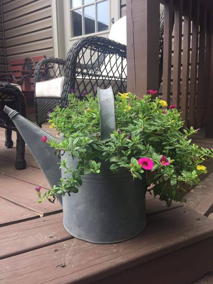 Pinterest Rustic Country Garden Ideas Photograph Flower Ga