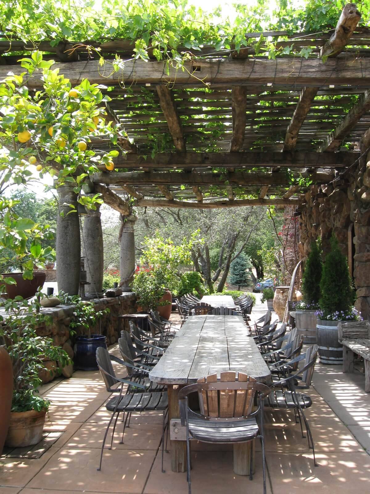 The Best Rustic Pergola Ideas