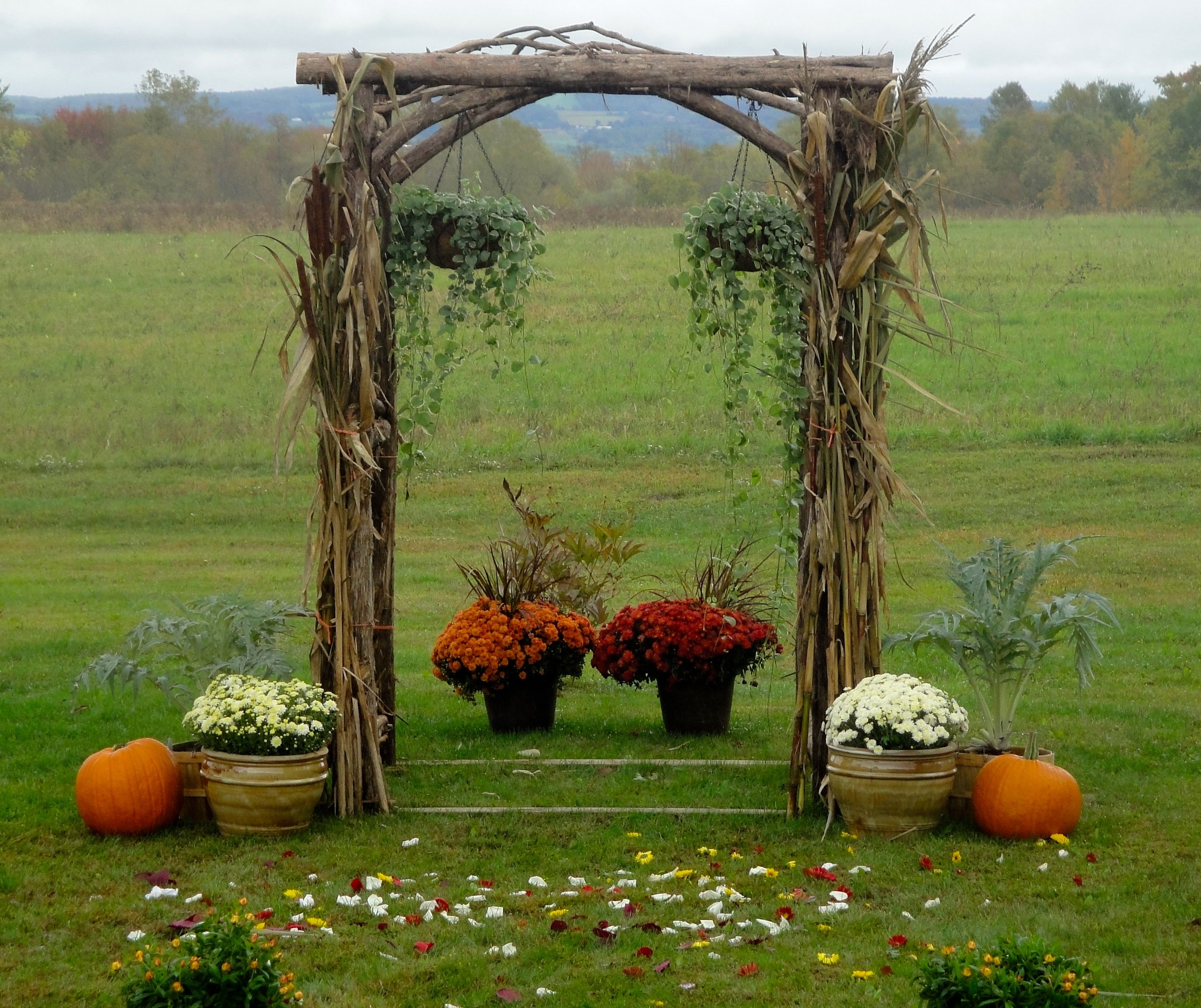 Rustic Branch Arbor Rustic Arbor