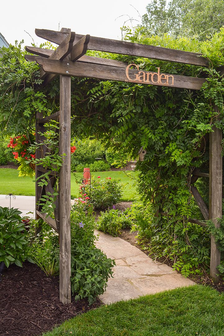 This Rustic Pergola