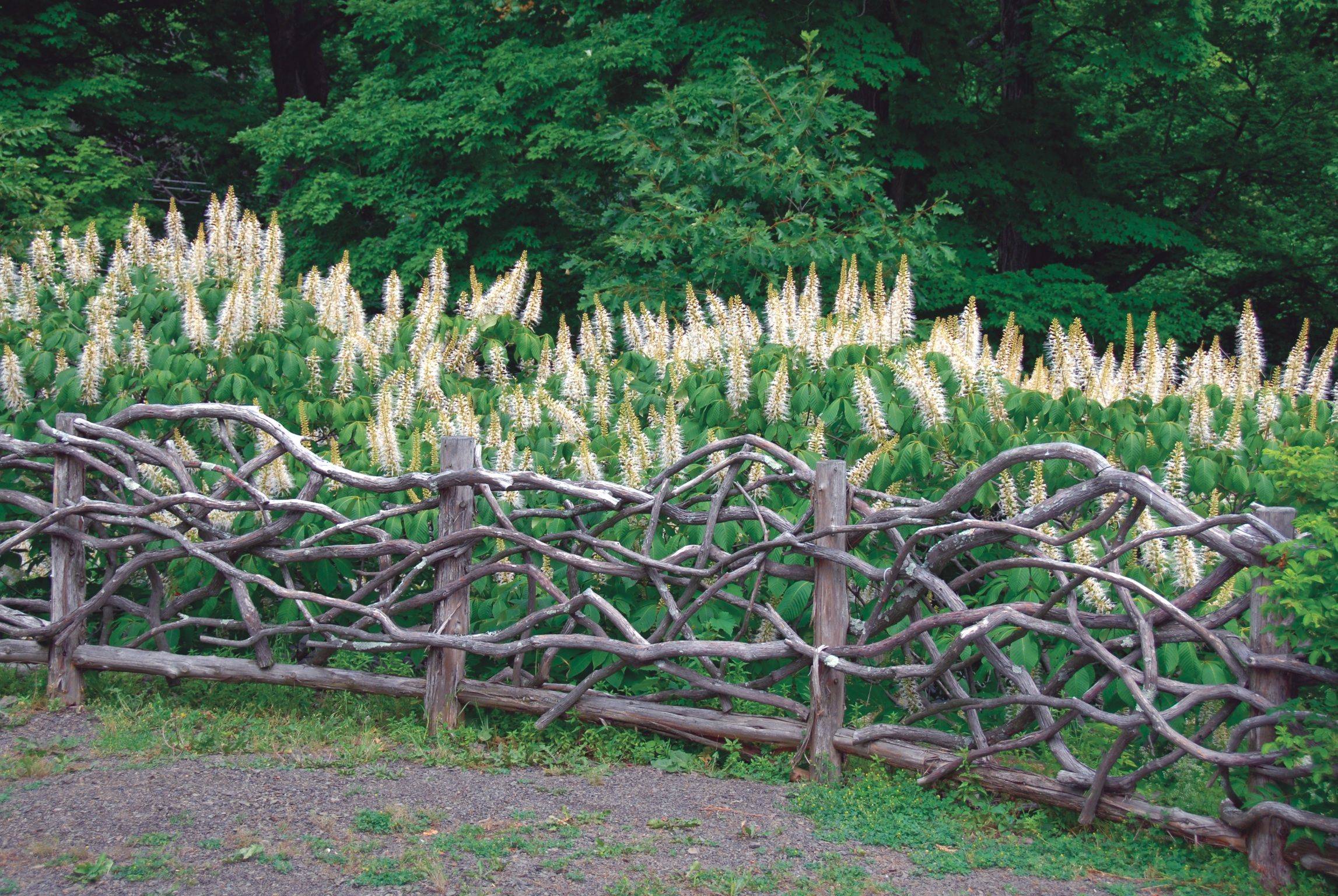 Elegant And Interesting Rustic Garden