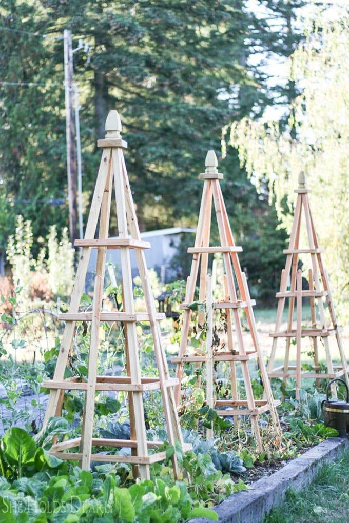 Charming Diy Trellis Garden Ideas