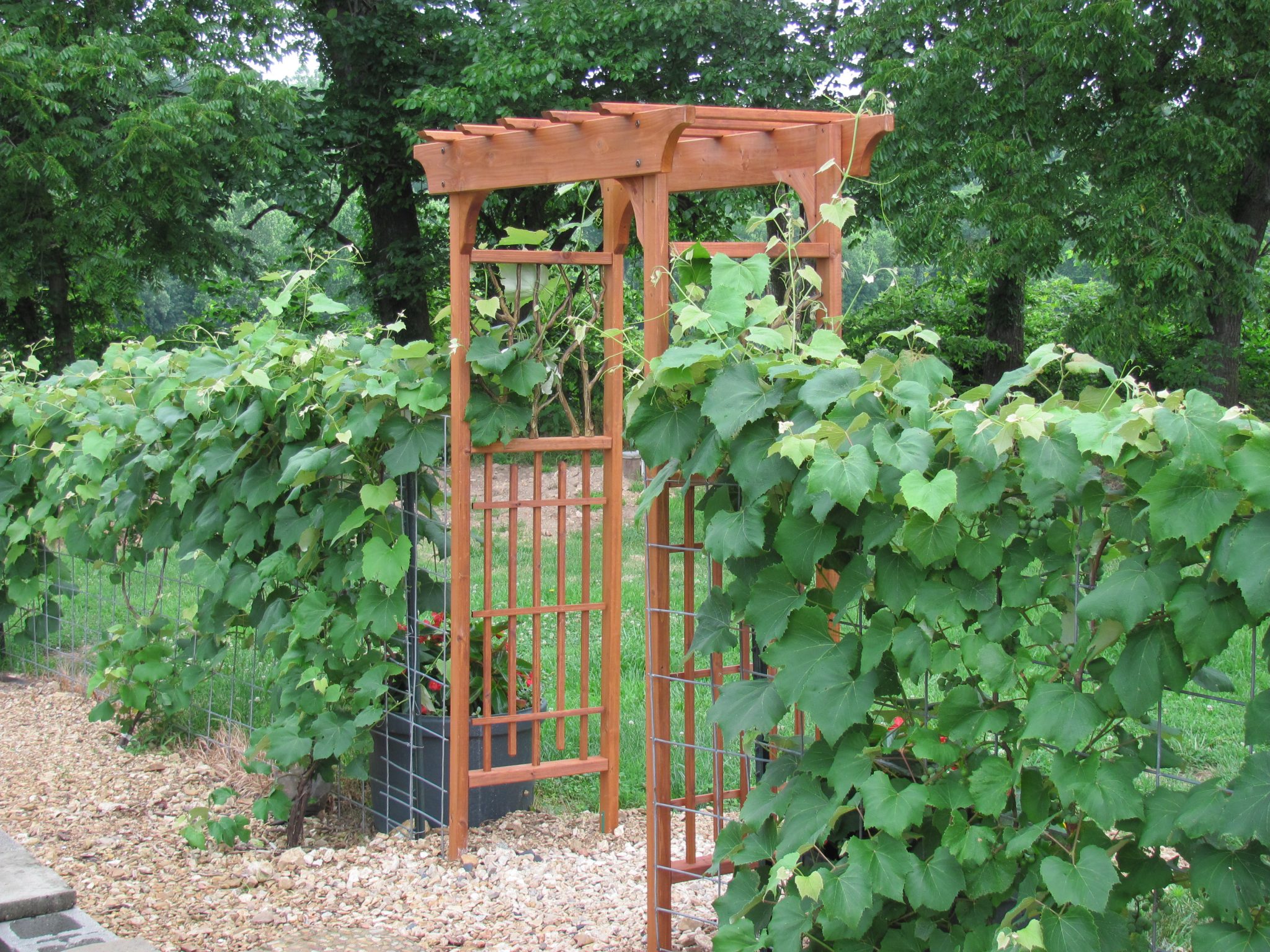 Cool Diy Garden Trellis Ideas Anchordecocom