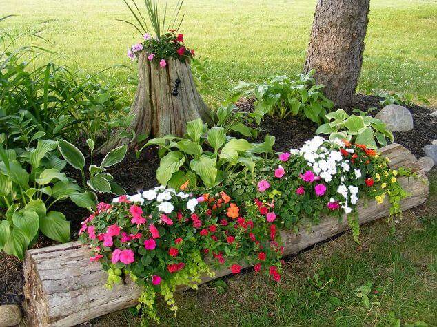 Window Box Flowers