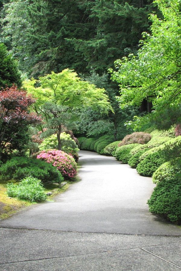 Japanese Garden Ideas