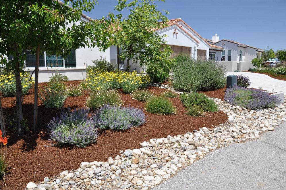 Rocks Garden Landscape Ideas