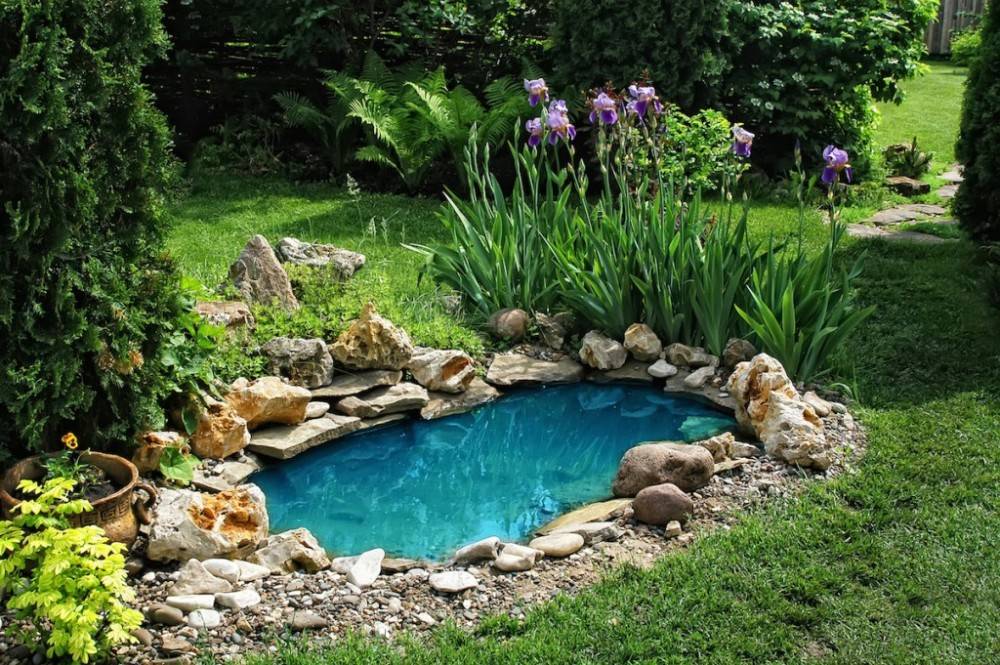 Your Landscape