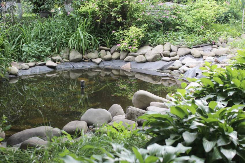 Backyard Rock Garden Ideas