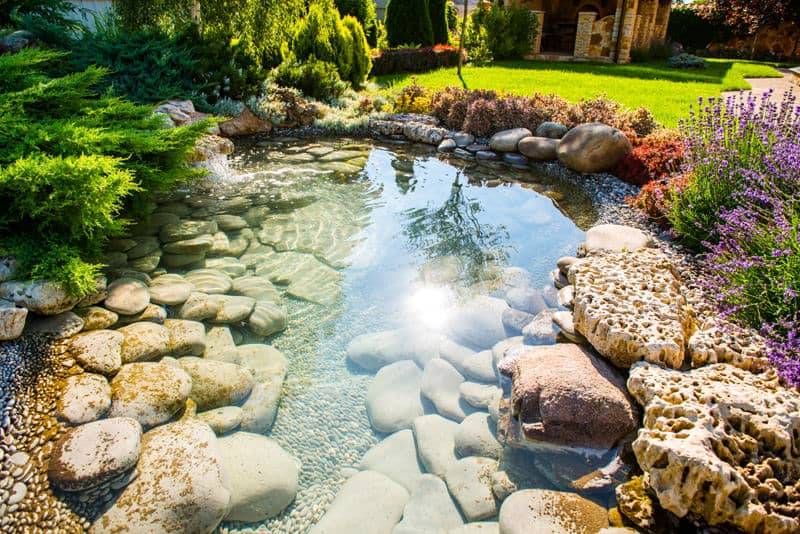 Rock Garden Ponds Designs Gardening Flowers