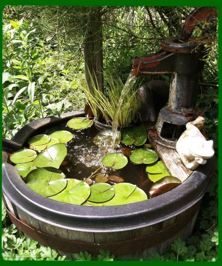 Cheap But Charming Water Garden Ideas