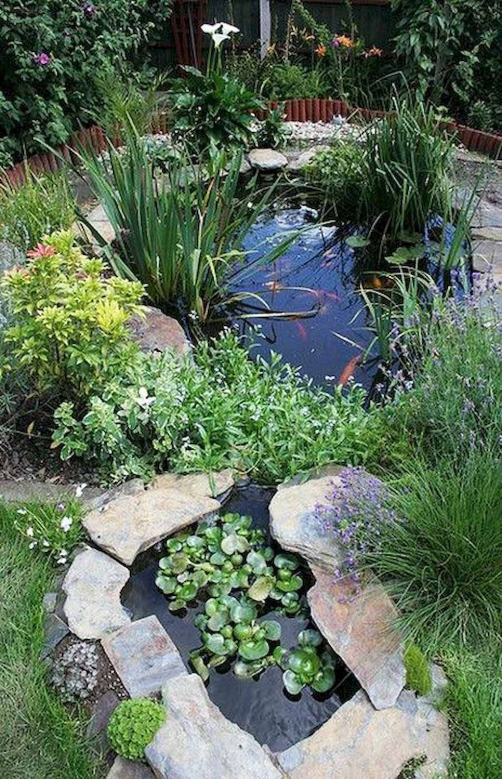 Best Water Garden Ideas