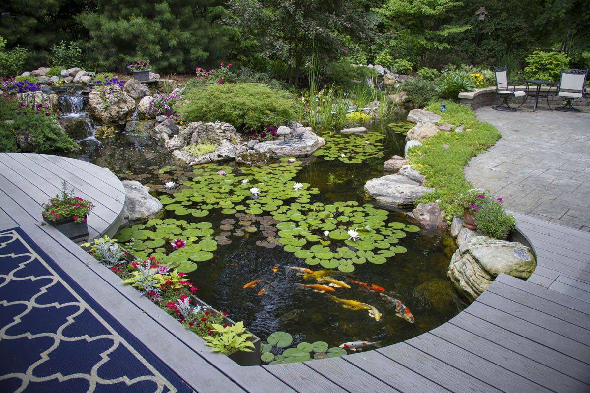 22 Garden Pond Edging Ideas You Must Look SharonSable